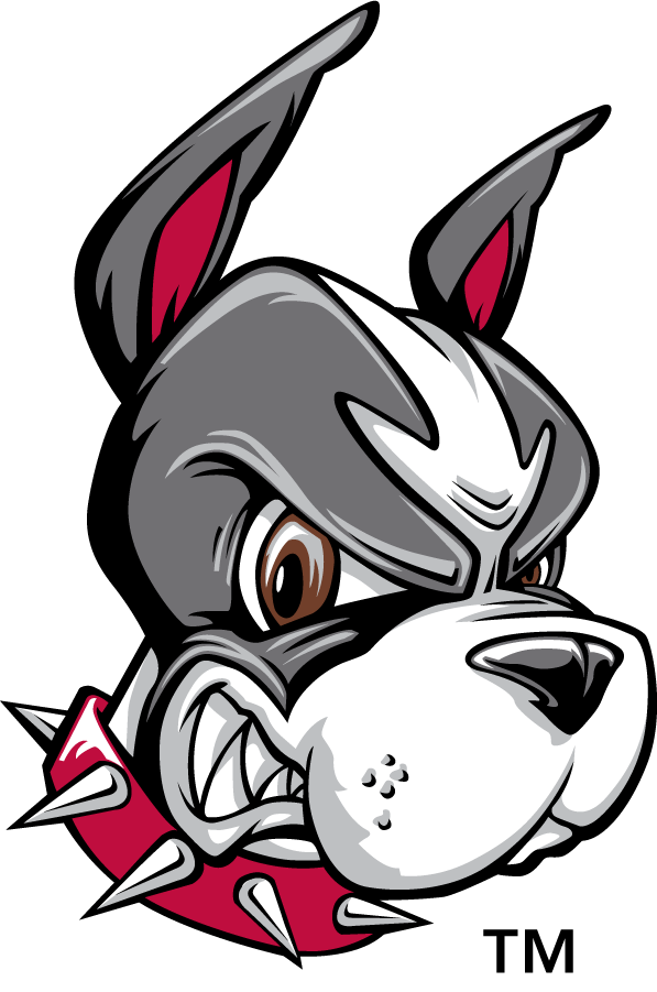Boston University Terriers 1996-2005 Secondary Logo v4 diy iron on heat transfer